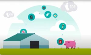 Animatie over de voetafdruk van vlees