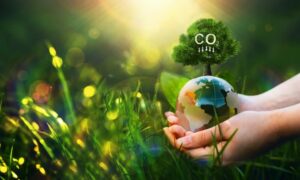 Berekening Carbon Footprint van diervoeder