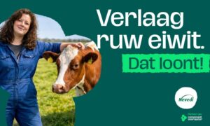 Nieuwe campagne voor melkveehouders: ‘Verlaag ruw eiwit, dat loont’