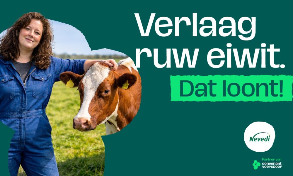 poster newsletter aspect ratio 1000 600